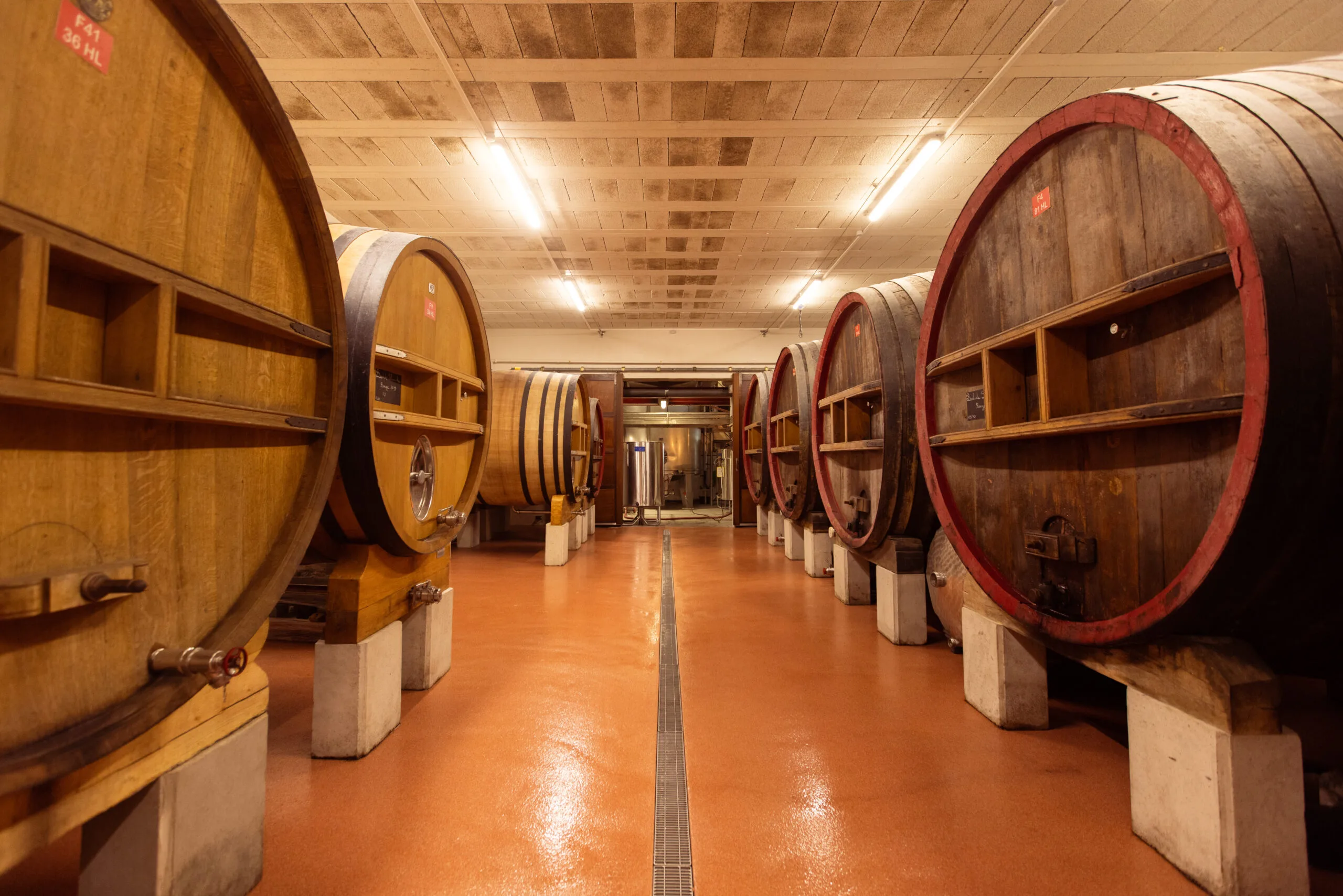 Les foudres : préparer les vins de demain
